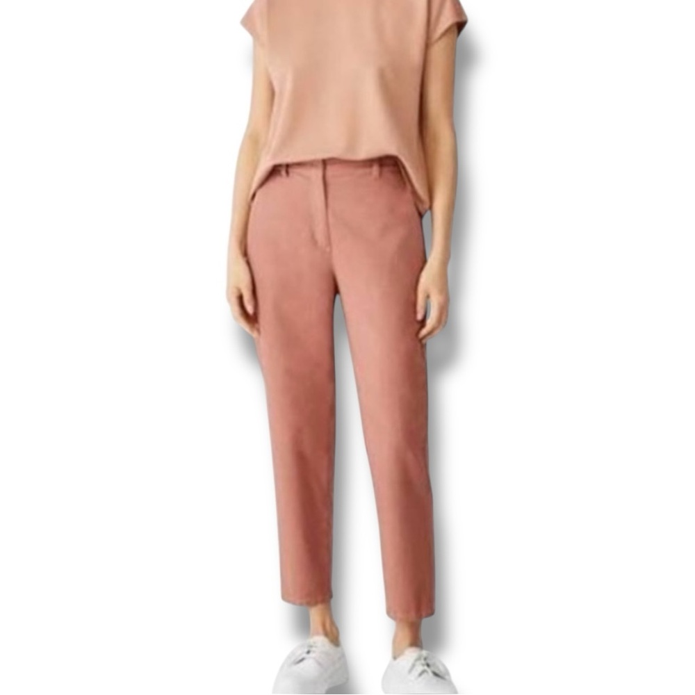 Eileen Fisher Cotton Hemp Tapered Ankle Pant in Clay Size 24